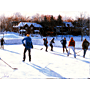 In the Action (Beaubien Park, Outremont) By Carlo Cosentino, P.S.C., I.A.F..