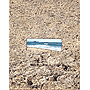 Traces de pas sur la plage By Yvette Froment.