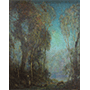 Evening Forest Scene By Adam Sherriff Scott